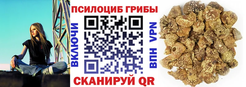 Псилоцибиновые грибы мухоморы  Сунжа 