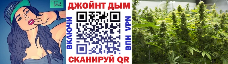 дарнет шоп  Сунжа  Конопля планчик 